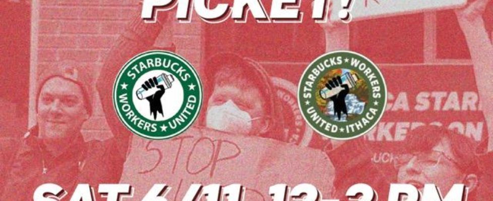 Saturday, 12-2.: Downtown Ithaca Starbucks BOYCOTT & PICKET